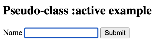 A simple web form with a name input field and a submit button. The name input field has focus, and the browser applies a blue outline to it.